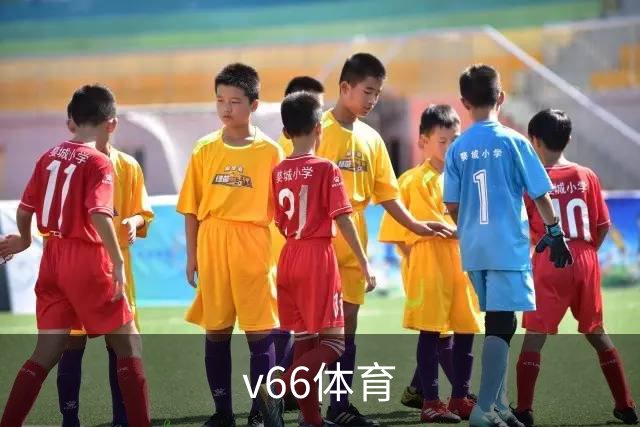 v66体育公司简介配图